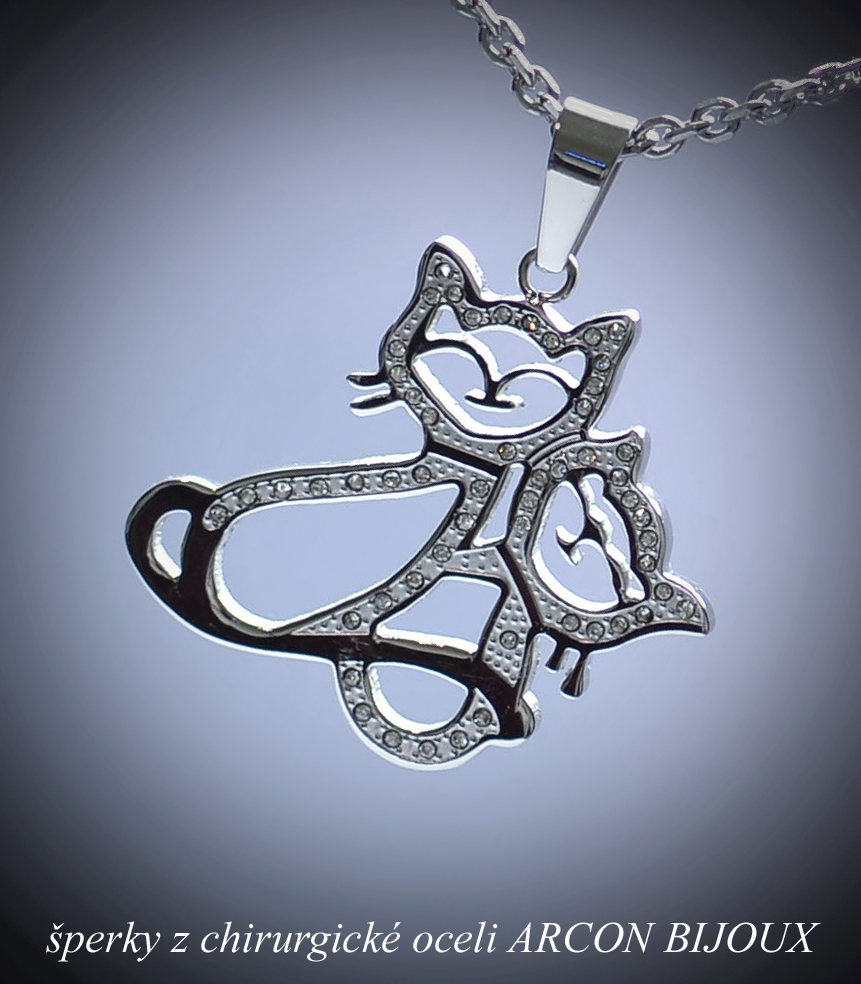 Chirurgická ocel náhrdelník kočky